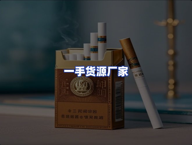 专业团队